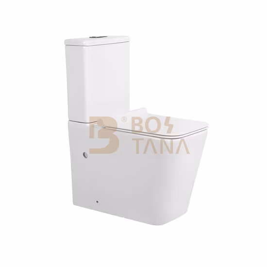 Artículos sanitarios de dos piezas con trampa en P de lavado de diseño europeo